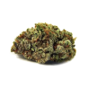 Gelato Gelato