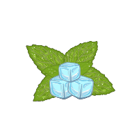 E-liquides Saveur Menthe